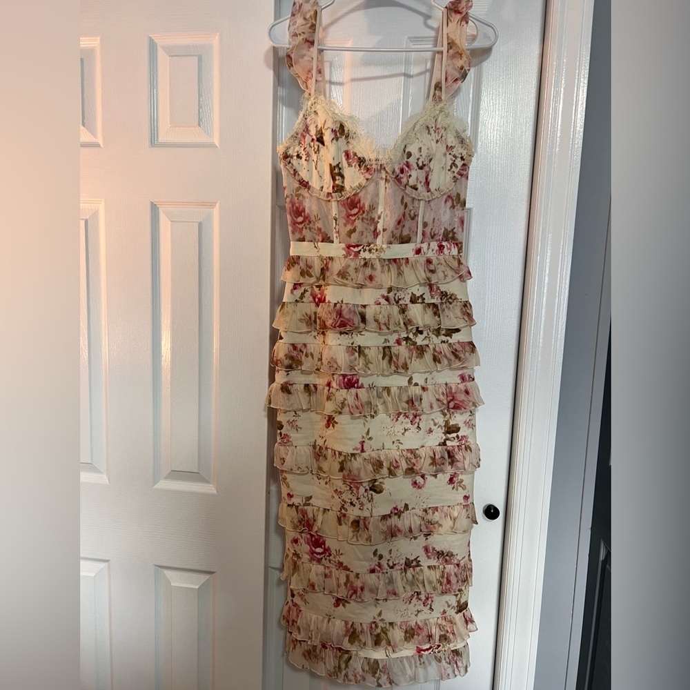 NWT V. Chapman Fiorenza dress in English rose